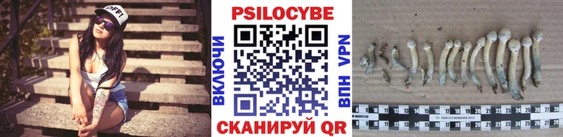 мориарти наркотические препараты  где найти наркотики  Верхний Уфалей  Галлюциногенные грибы ЛСД 